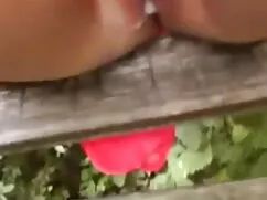 Háo hức già khốn đàn ...