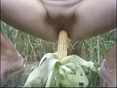 Mỹ la tinh, đồng tín ...