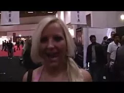 Hai nóng Bumblebee đ ...